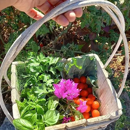 Landsted Eco Camping Nueva Vida Chío