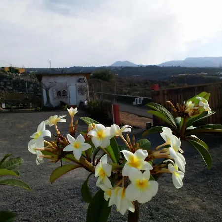 Eco Camping Nueva Vida *