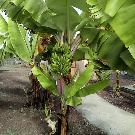 Landsted Eco Camping Nueva Vida Chío