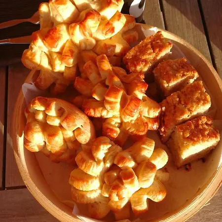 Eco Camping Nueva Vida Chio (Tenerife)