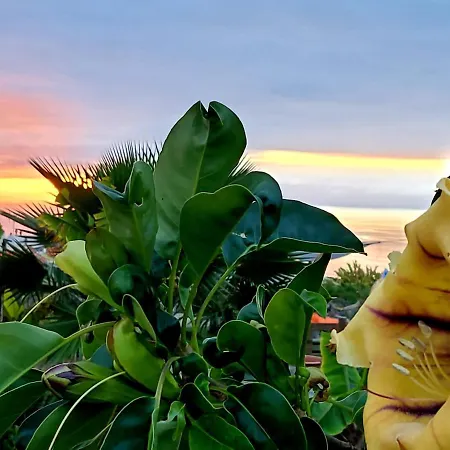 בית כפרי Eco Camping Nueva Vida