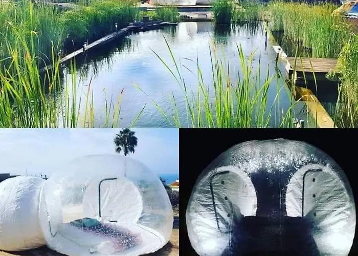 Eco Camping Nueva Vida