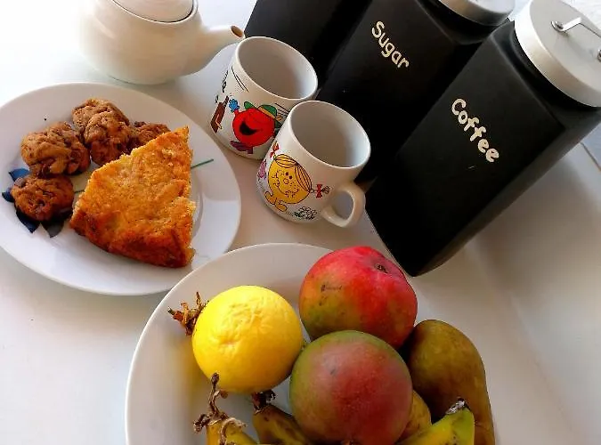 Eco Camping Nueva Vida *