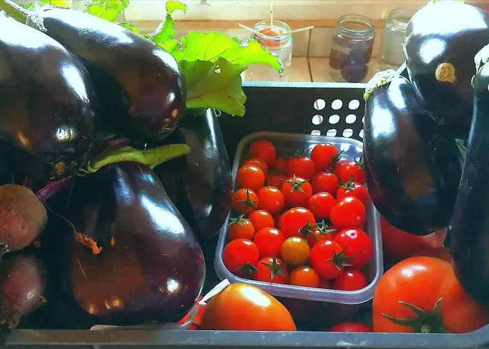 Eco Camping Nueva Vida Casa di campagna Chío