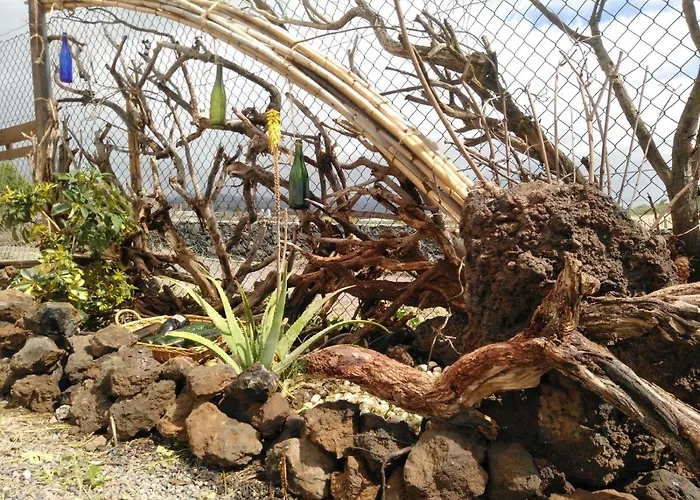 Eco Camping Nueva Vida Casa di campagna