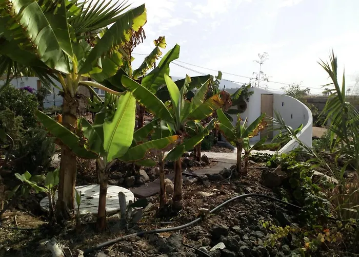 Casa di campagna Eco Camping Nueva Vida *