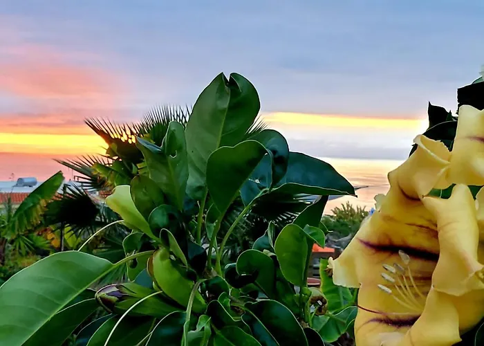 Casa di campagna Eco Camping Nueva Vida