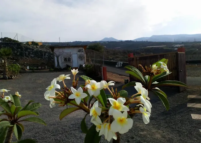 Eco Camping Nueva Vida *