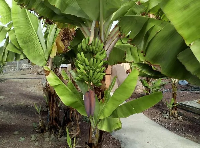 Casa di campagna Eco Camping Nueva Vida Chío