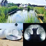Eco Camping Nueva Vida