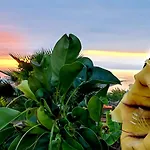 בית כפרי Eco Camping Nueva Vida