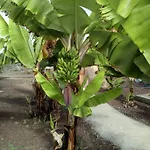 בית כפרי Eco Camping Nueva Vida Chío