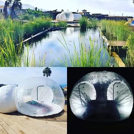 Eco Camping Nueva Vida