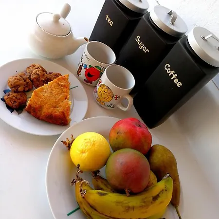 Eco Camping Nueva Vida *