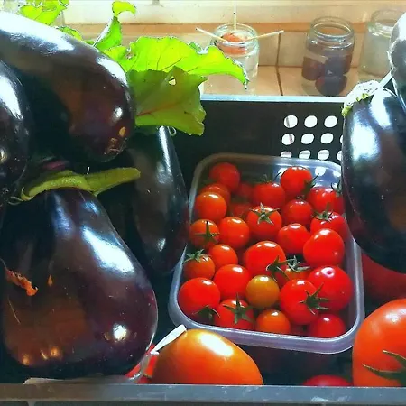 Eco Camping Nueva Vida Venkovský dům Chío