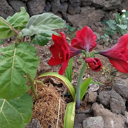 Venkovský dům Eco Camping Nueva Vida Chío