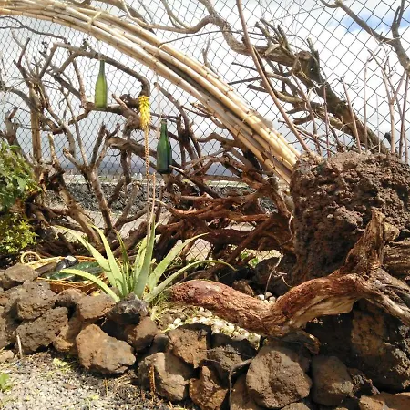 Eco Camping Nueva Vida Landsted