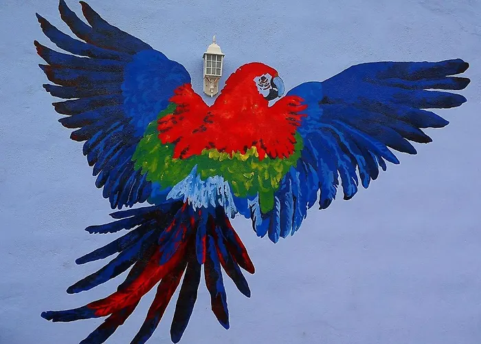 Eco Camping Nueva Vida * Chío