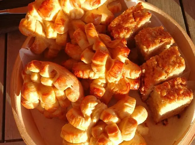 Eco Camping Nueva Vida Chío