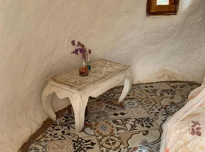 Eco Camping Nueva Vida *