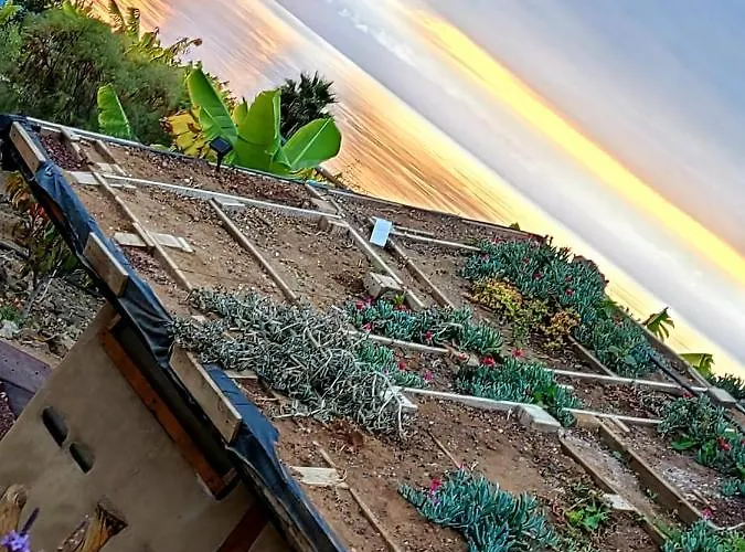 Eco Camping Nueva Vida منزل ريفي Chío