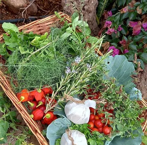 Eco Camping Nueva Vida منزل ريفي Chío