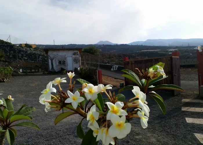 Eco Camping Nueva Vida Landsted Chío