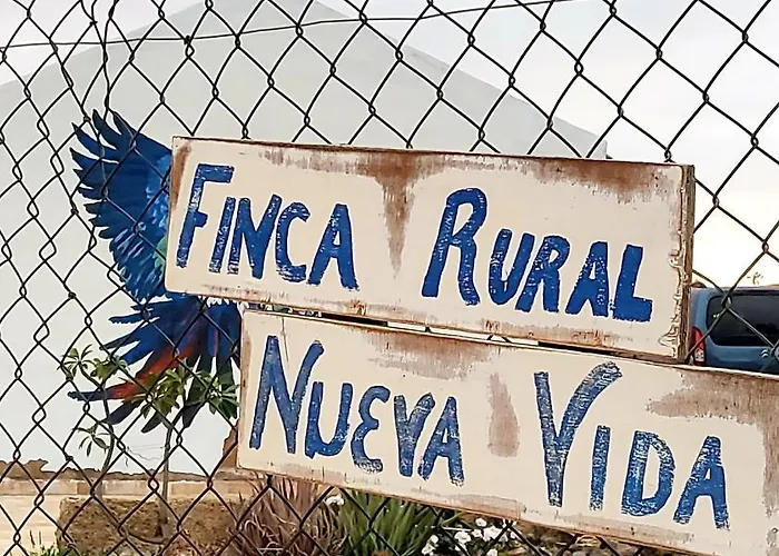 Eco Camping Nueva Vida