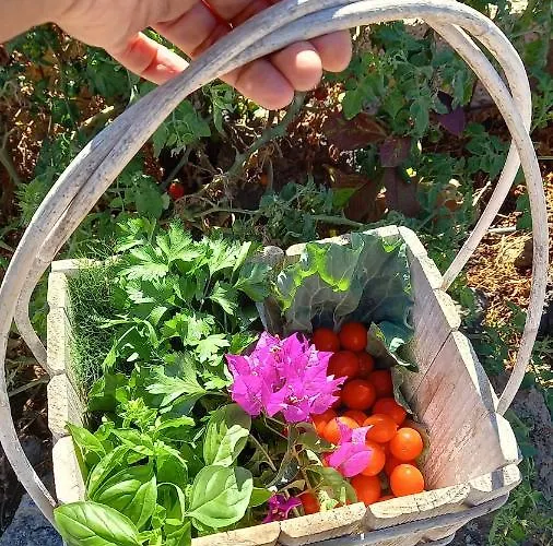 Landsted Eco Camping Nueva Vida Chío