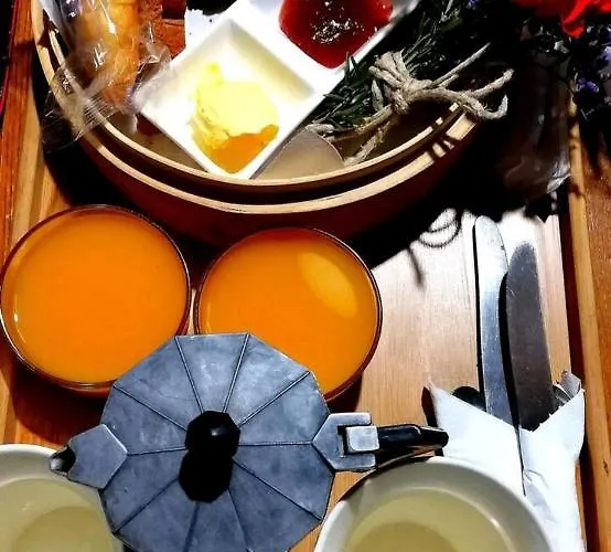 Eco Camping Nueva Vida *